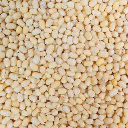 URAD DAAL  WHITE 500GM