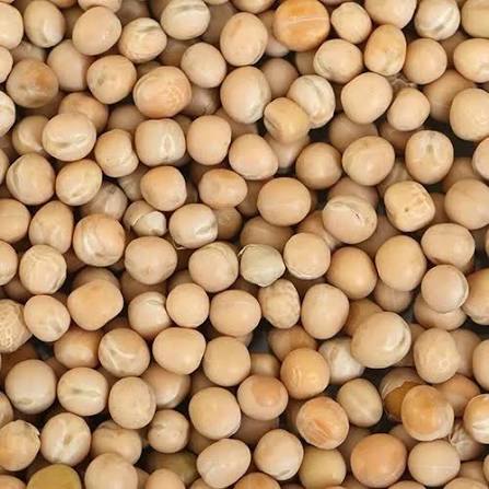 MATAR 500GM