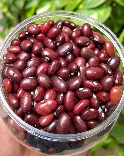 RAJMA 500GM