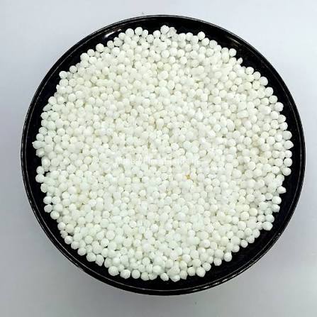 JAYESH SABUDANA BIG 500GM