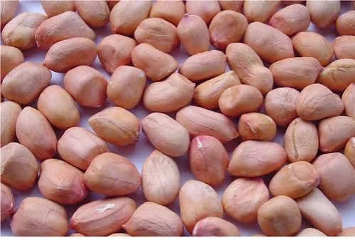 JAYESH PEANUT 500GM