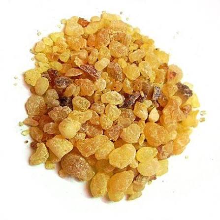 RESINS 100GM